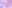 Pastel Tuning - st_2023_pastel_tuning_1.jpg