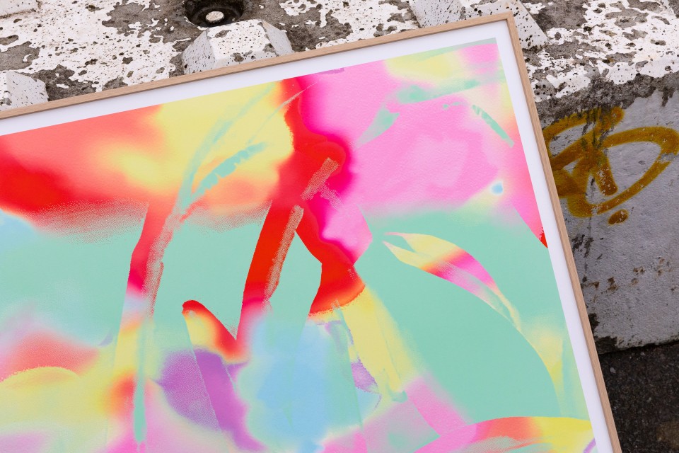 Pétales Acides - super-terrain_2024_petales-acides.jpg