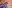 Saison Futurs - st_2022_lezardst_2022_lezard_st_6887-2_0003_st_2022_lezardst_2022_lezard_st_6754.jpg